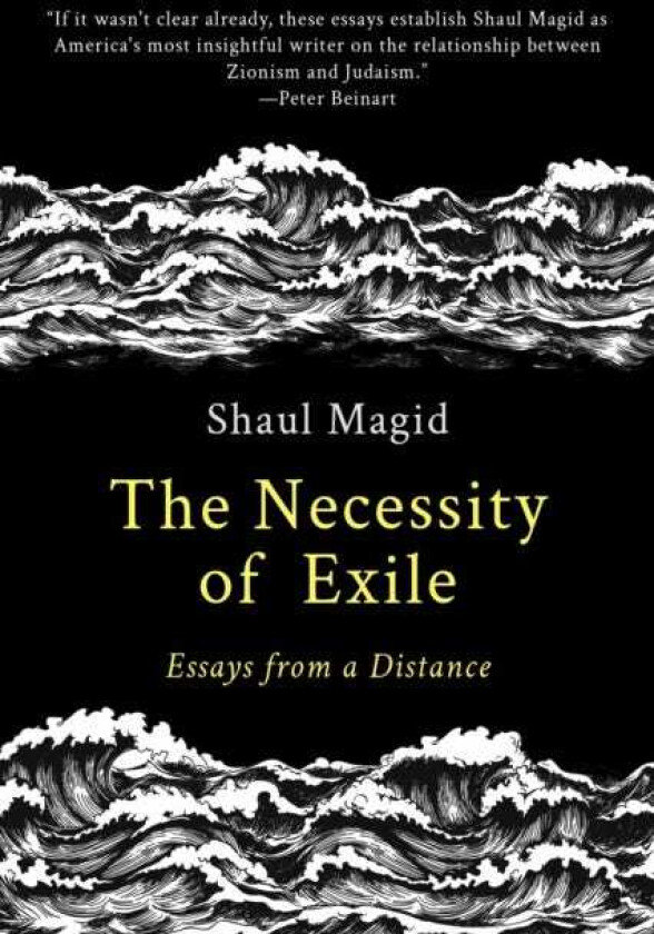 The Necessity of Exile Essays from a Distance