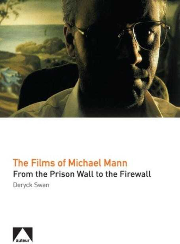 The Films of Michael Mann From the Prison Wall to the Firewall