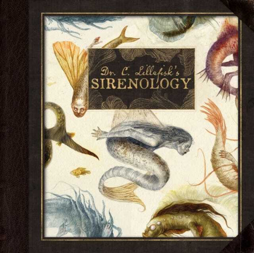 Dr. C. Lillefisk's Sirenology  A Guide to Mermaids and other undertheseaPhenonemon
