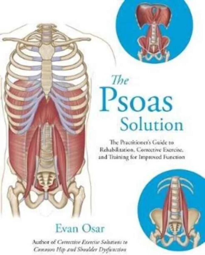 The Psoas Solution av Evan Osar