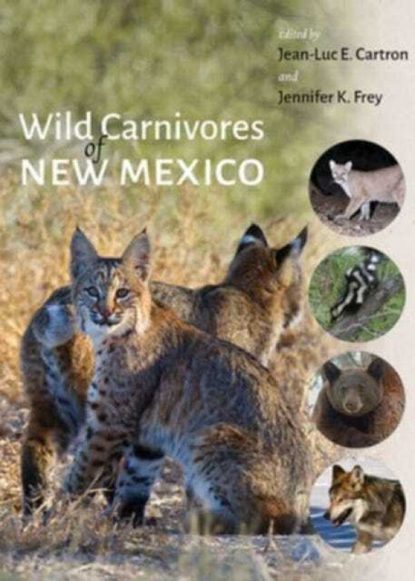 Wild Carnivores of New Mexico