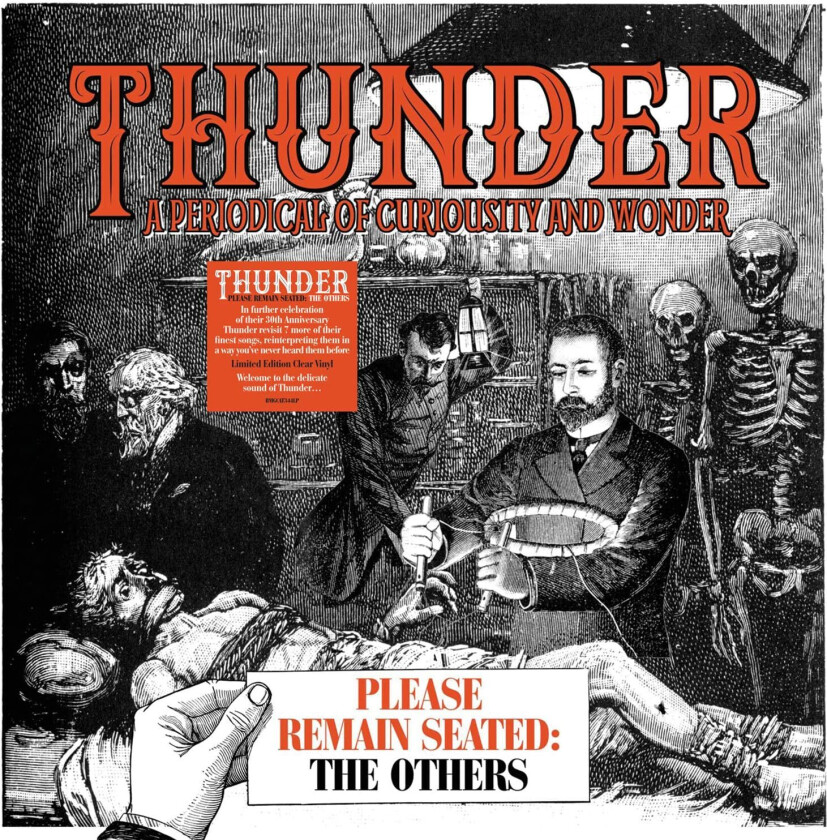 Thunder Please Remain Seated The Others LP/Vinyl