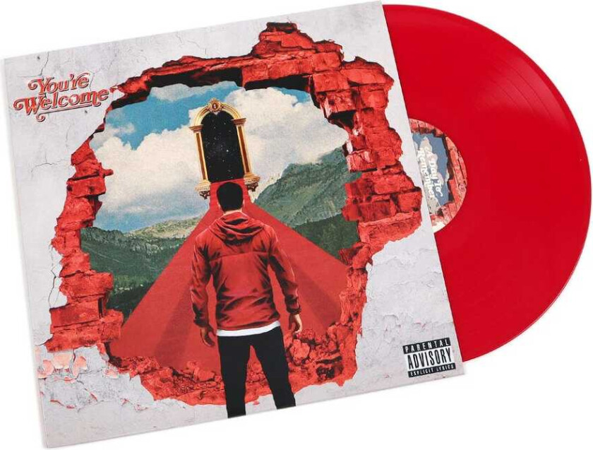 A Day To Remember You re Welcome LP/Vinyl