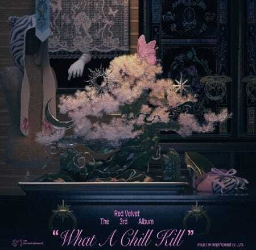 What A Chill Kill SMini Version Random Cover incl. Keyring Ballchain, Music NFC CD + Photocard