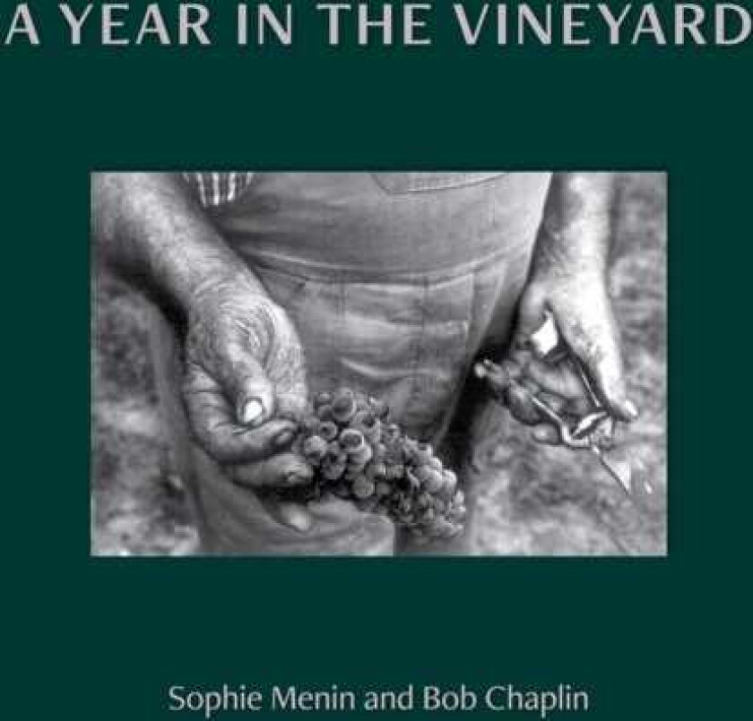 A Year in the Vineyard