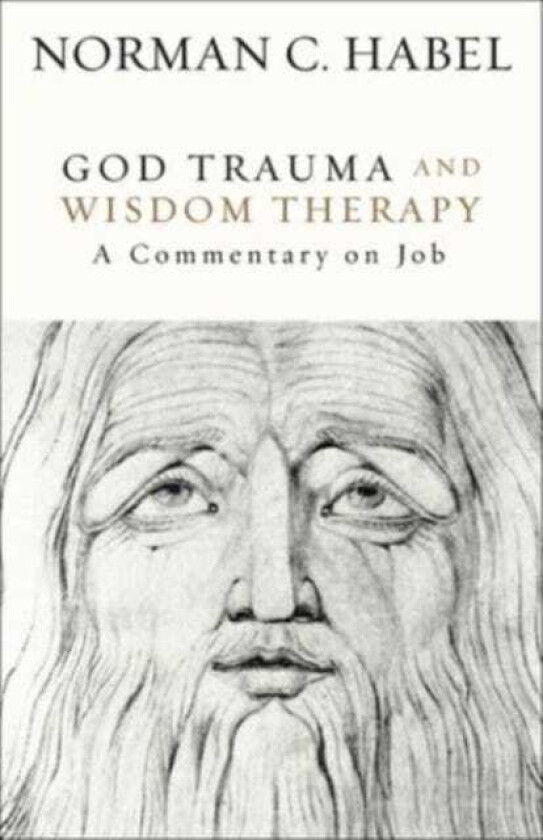 God Trauma and Wisdom Therapy A Commentary on Job