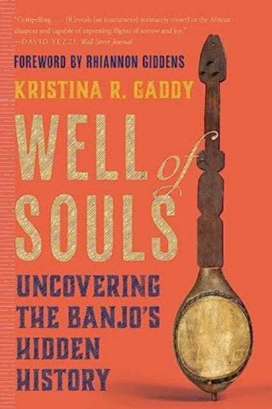 Well of Souls Uncovering the Banjo's Hidden History