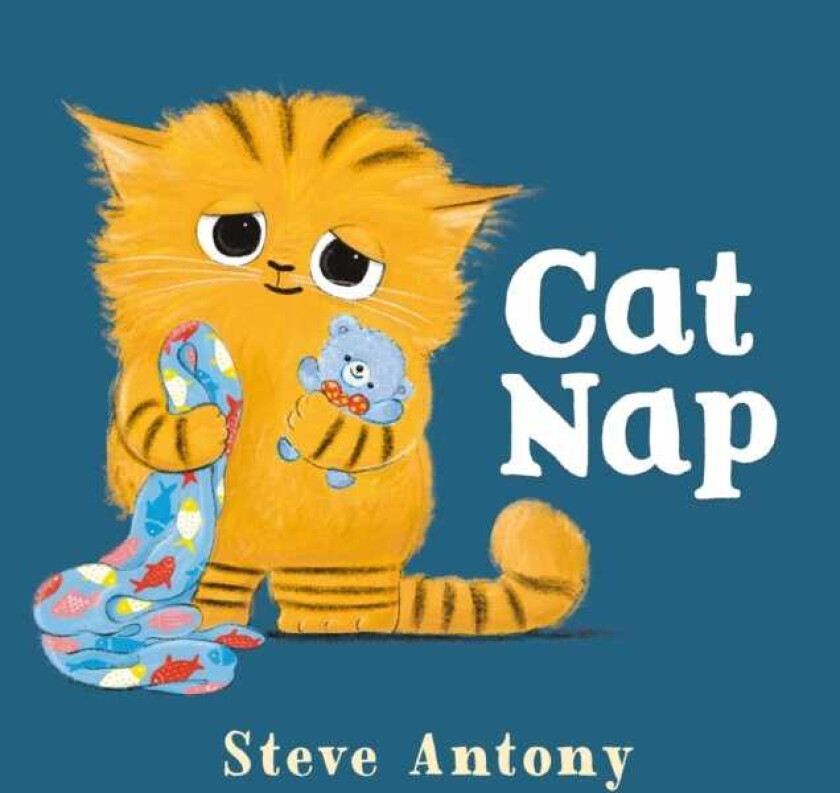 Cat Nap