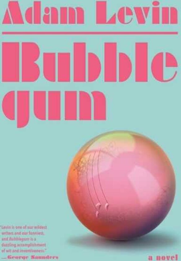 Bubblegum A Novel