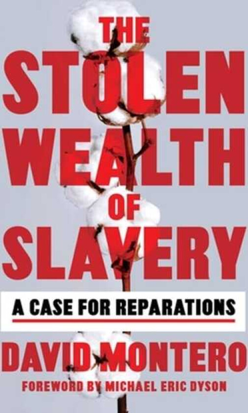The Stolen Wealth of Slavery A Case for Reparations
