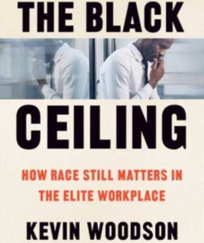The Black Ceiling How Race Still Matters in the Elite Workplace