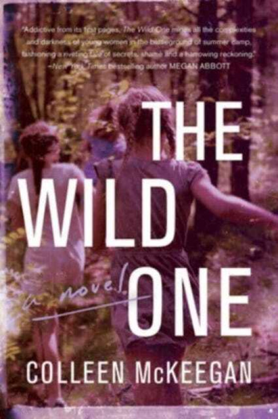 The Wild One A Novel