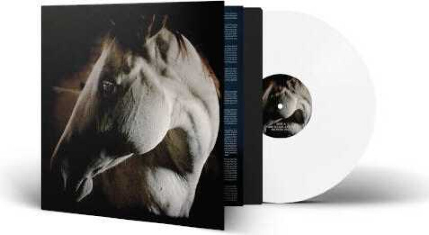 Brother Dege How To Kill A Horse LP/Vinyl