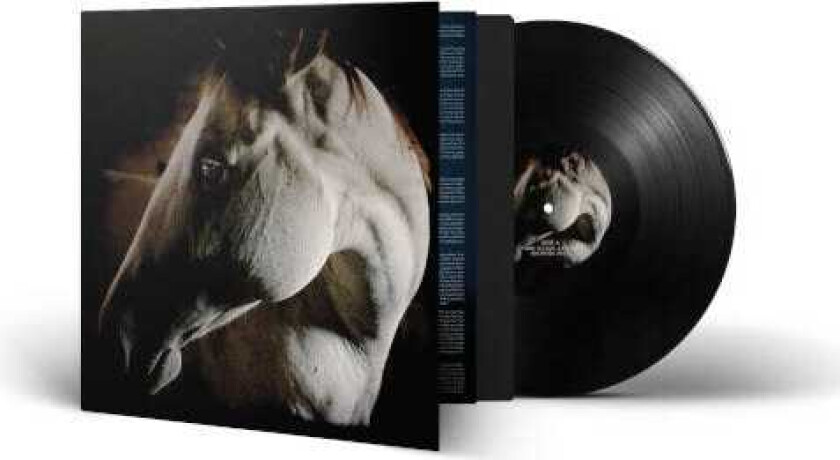 Brother Dege How To Kill A Horse LP/Vinyl