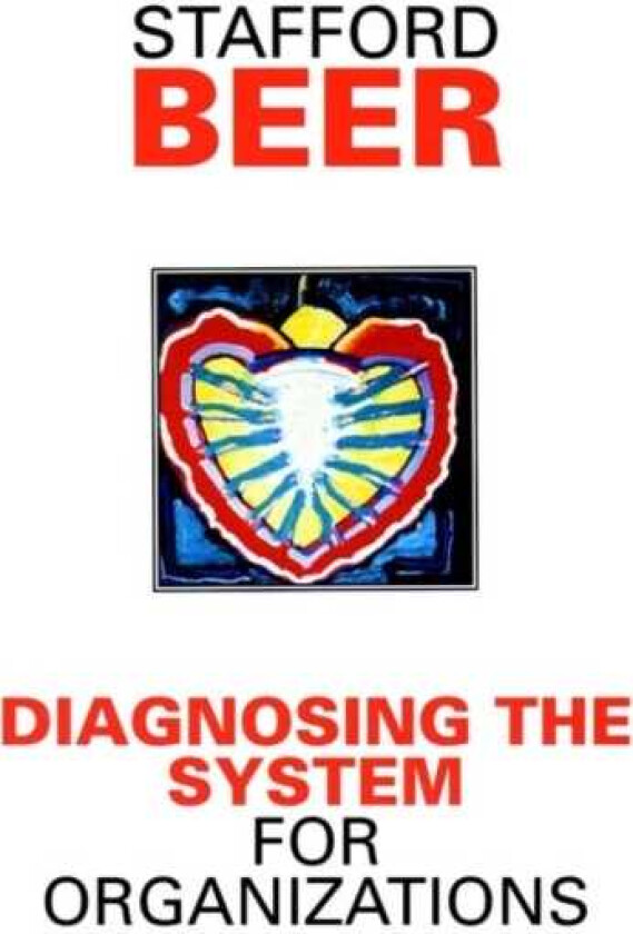 Diagnosing the System for Organizations