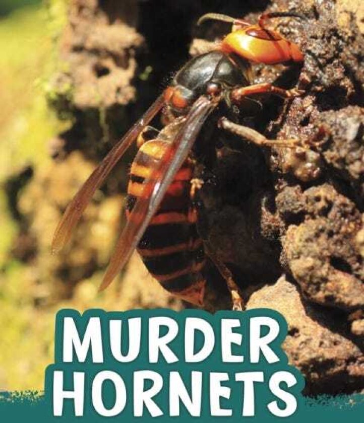 Murder Hornets