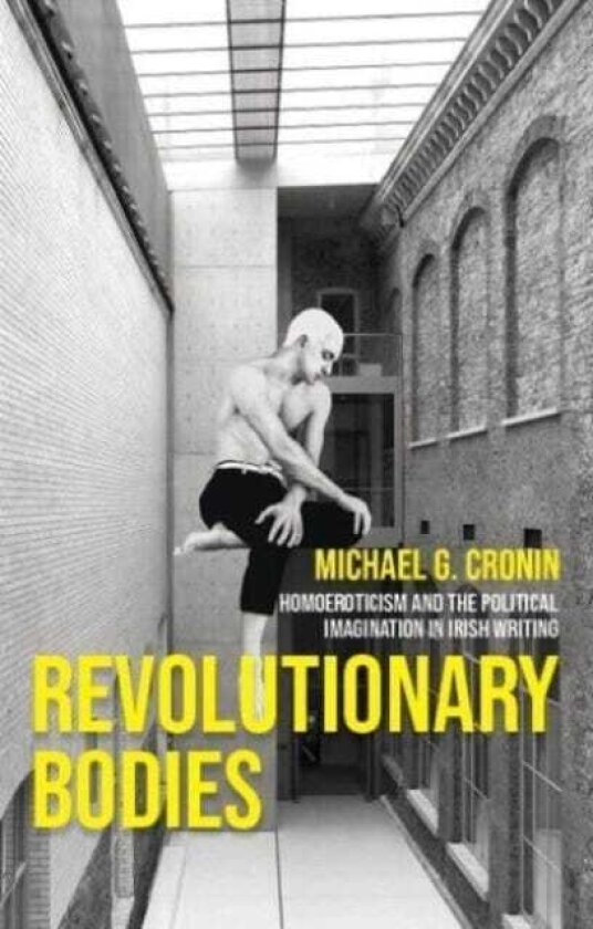 Revolutionary Bodies Homoeroticism and the Political Imagination in Irish Writing