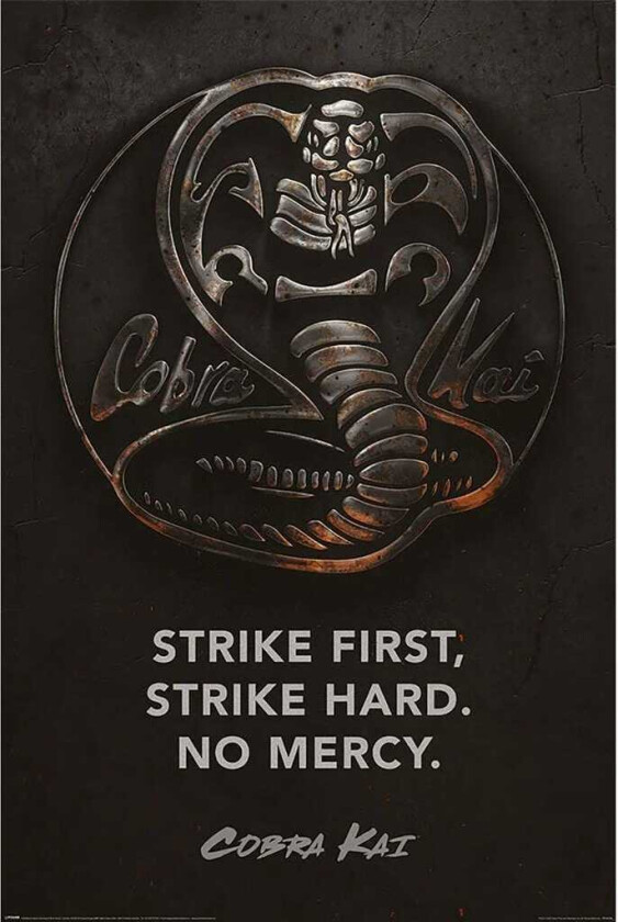 Cobra Kai (Metal) Plakat