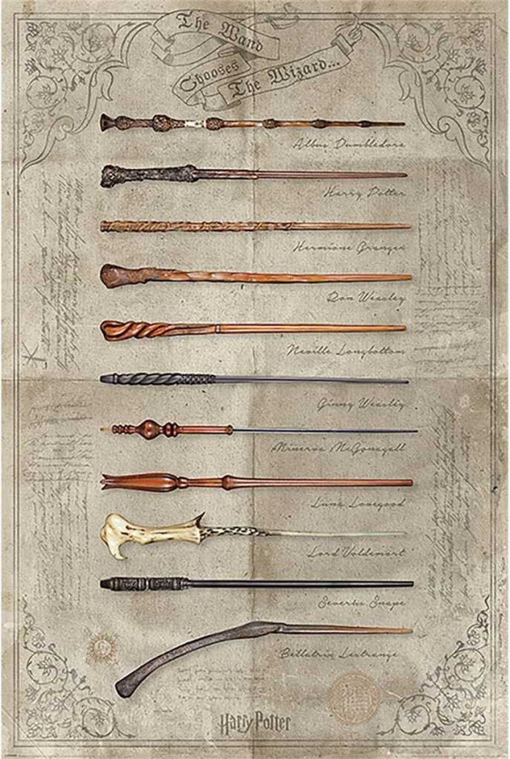 Harry Potter (The Wand Chooses The Wizard) MaxiPlakat