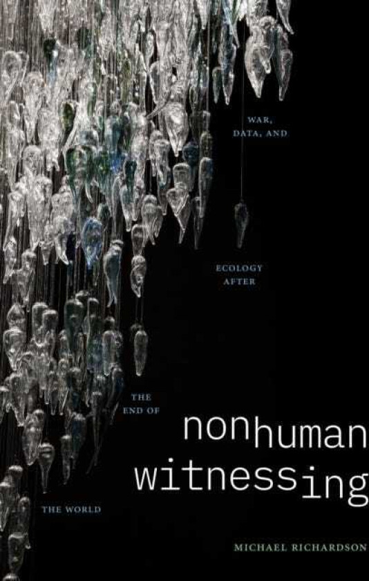 Nonhuman Witnessing War, Data, and Ecology after the End of the World