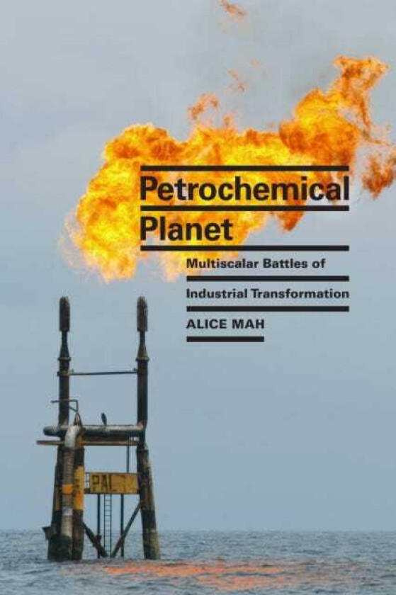 Petrochemical Planet Multiscalar Battles of Industrial Transformation