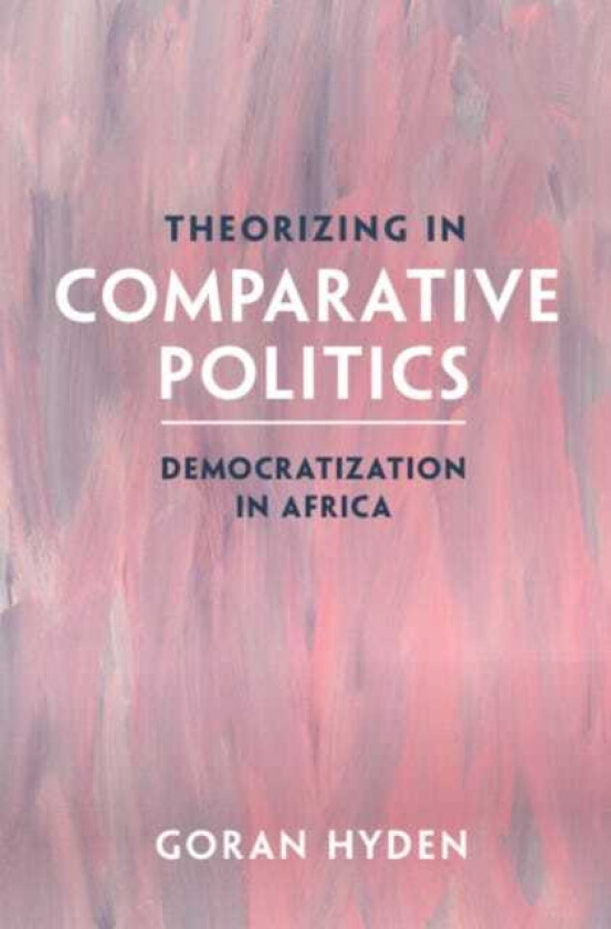 Theorizing in Comparative Politics  Democratization in Africa