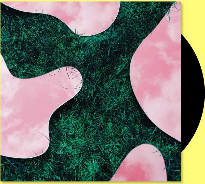 Lee Paradise & Co LP/Vinyl