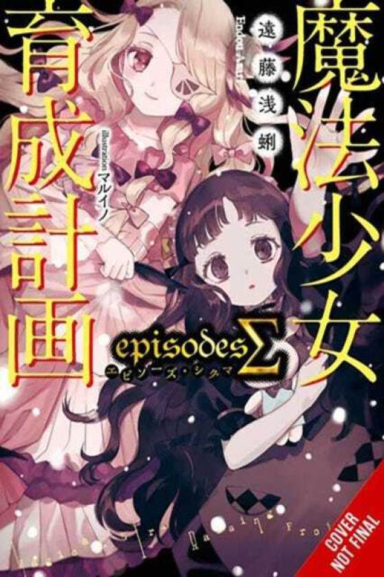 Magical Girl Raising Project, Vol. 17 (light novel)