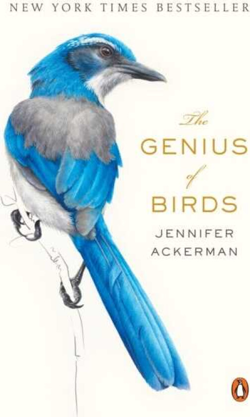 The Genius of Birds
