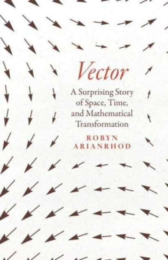Vector A Surprising Story of Space, Time, and Mathematical Transformation