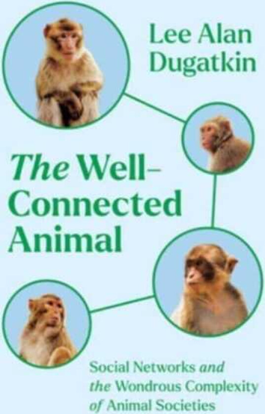 The WellConnected Animal Social Networks and the Wondrous Complexity of Animal Societies