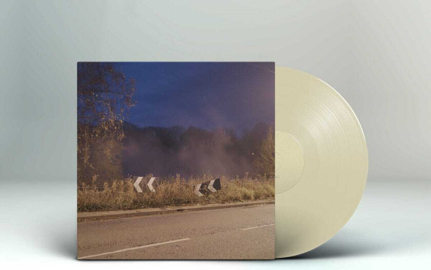 Lee Gamble Models LP/Vinyl