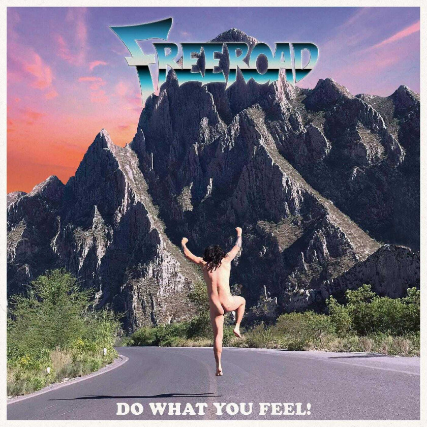 Freeroad Do What You Feel! LP/Vinyl