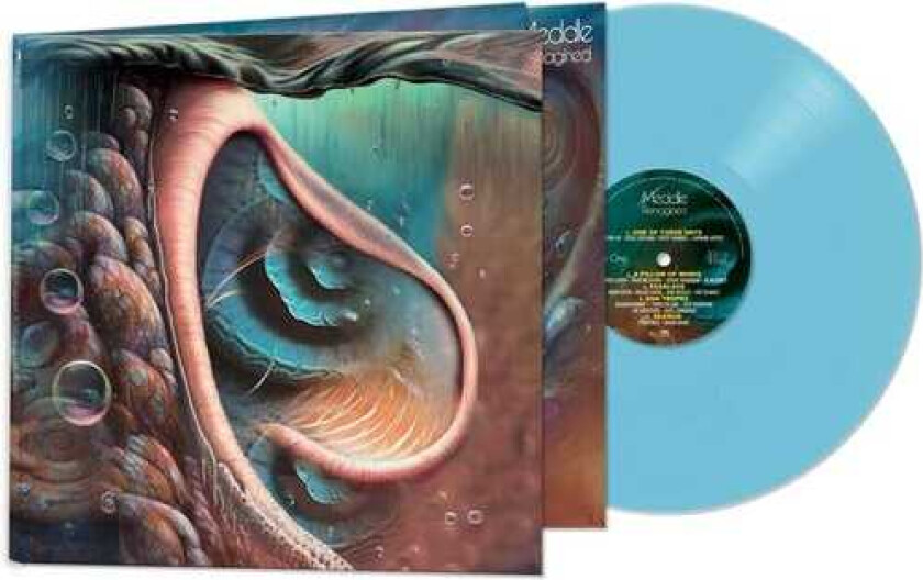 Pink Floyd Tribute Meddle Reimagined A Tribute To Pink Floyd LP/Vinyl