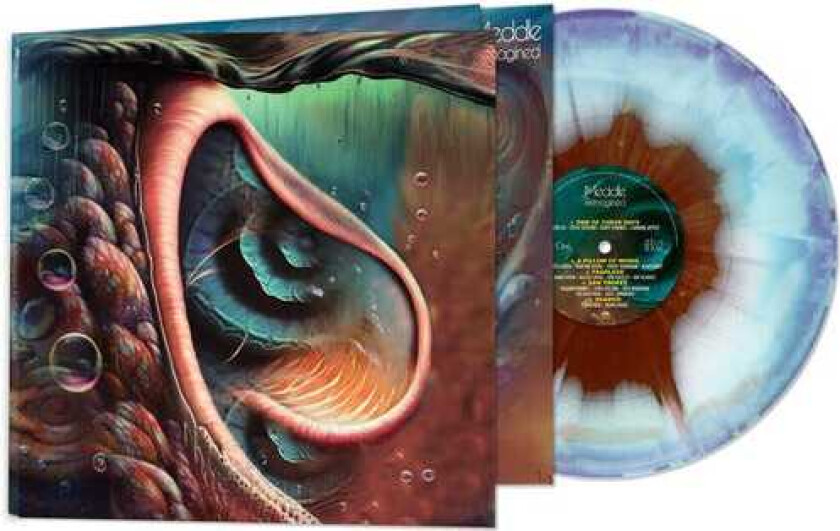 Pink Floyd Tribute Meddle Reimagined A Tribute To Pink Floyd LP/Vinyl