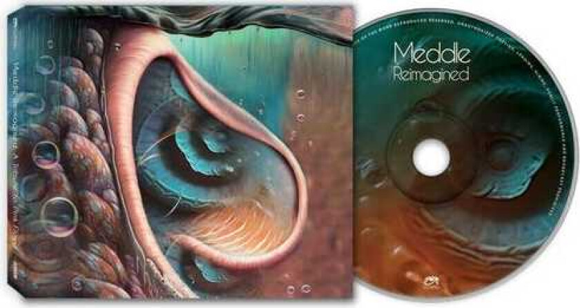 Pink Floyd Tribute  Meddle Reimagined  A Tribute To Pink Floyd  CD