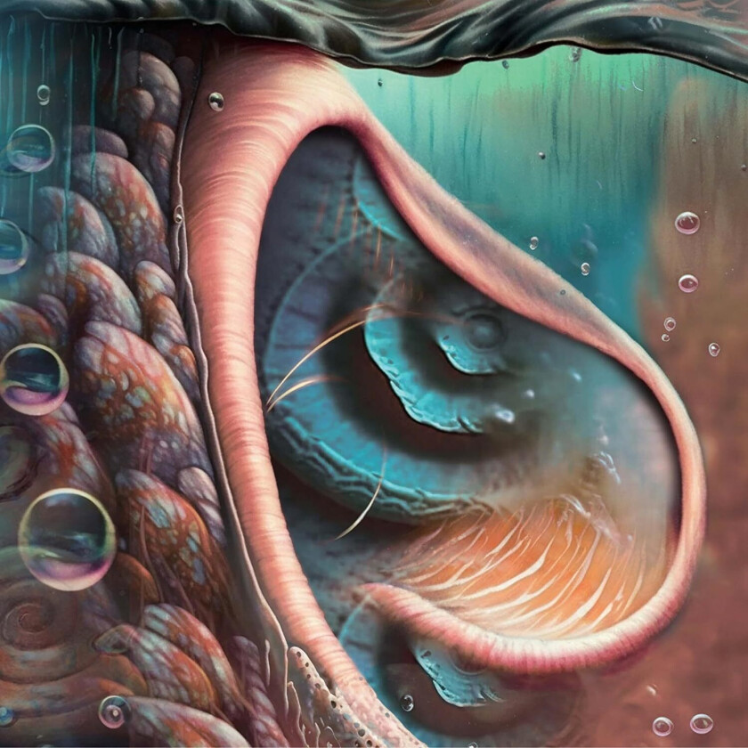 Pink Floyd Tribute Meddle Reimagined A Tribute To Pink Floyd LP/Vinyl