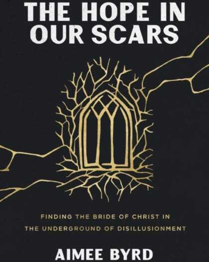 The Hope in Our Scars Finding the Bride of Christ in the Underground of Disillusionment