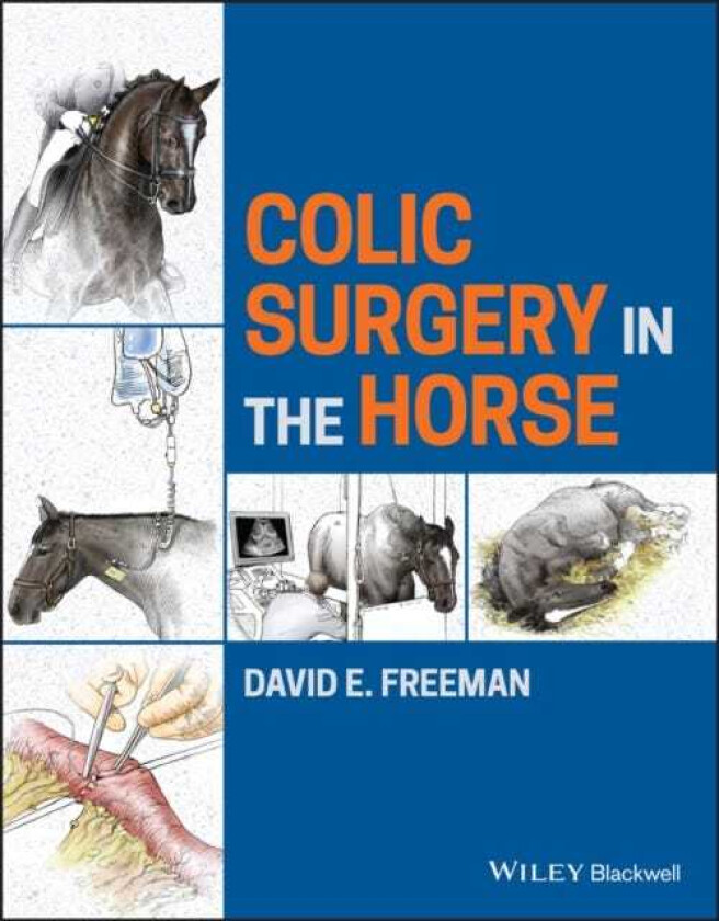 Bilde av Colic Surgery in the Horse