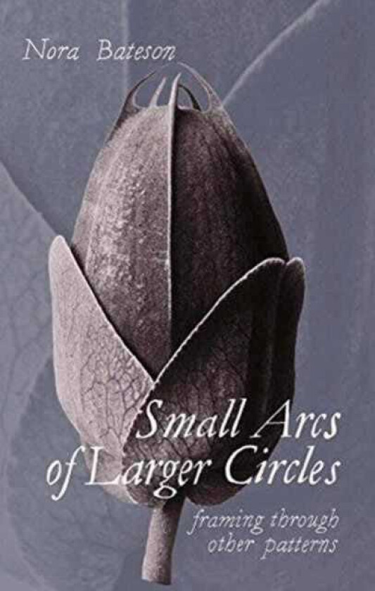 Small Arcs of Larger Circles Framing Through Other Patterns