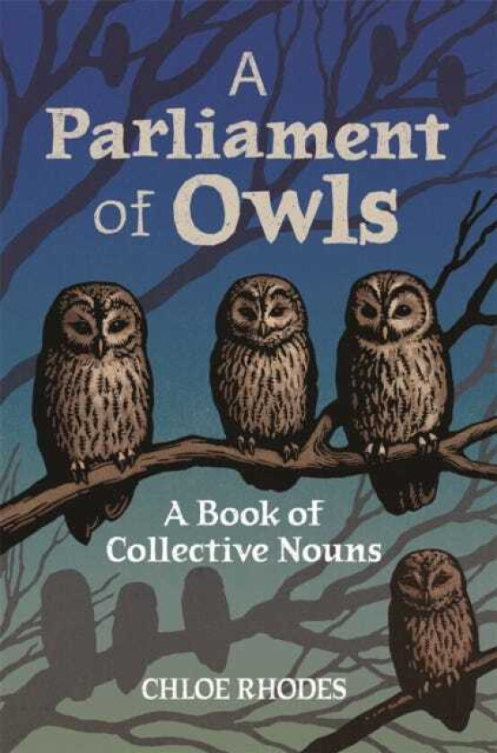 A Parliament of Owls A Book of Collective Nouns