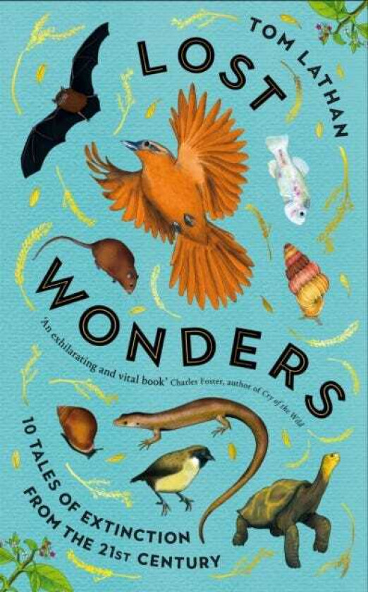 Lost Wonders 10 Tales of Extinction from the 21st Century