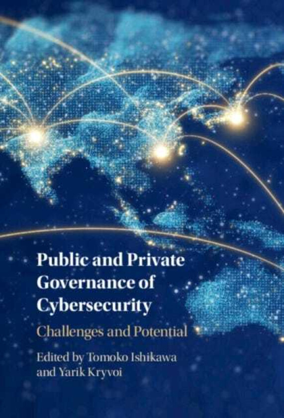 Public and Private Governance of Cybersecurity  Challenges and Potential