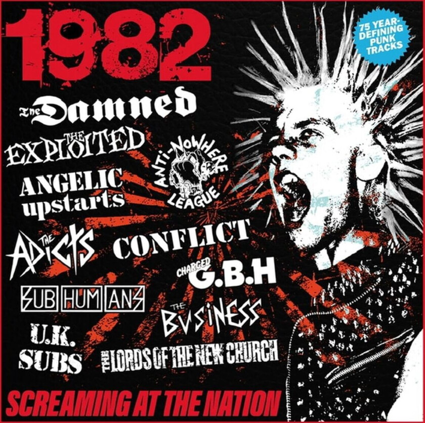 Diverse Punk 1982 Screaming At The Nation CD