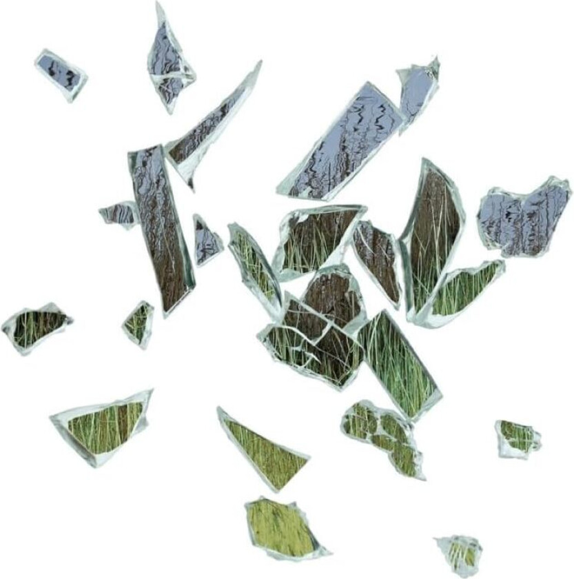 These New Puritans Field of Reeds LP/Vinyl