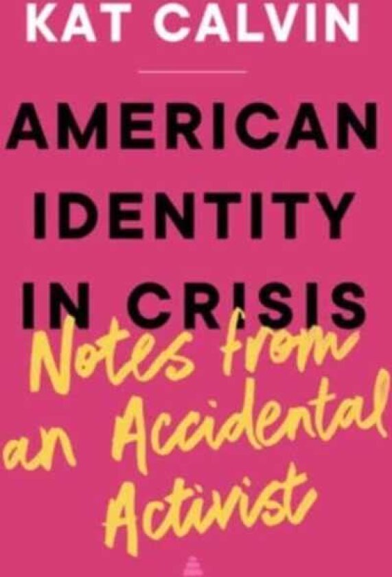 American Identity in Crisis: Notes from an Accidental Activist