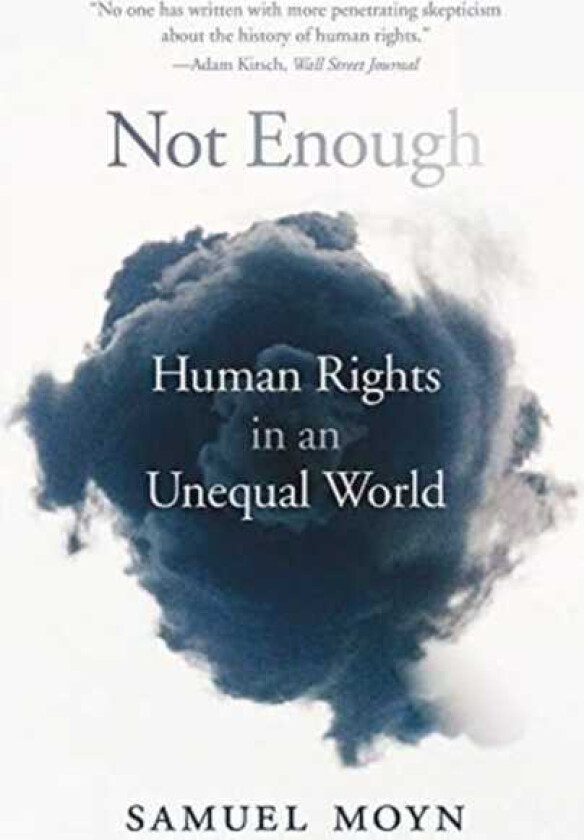 Not Enough Human Rights in an Unequal World