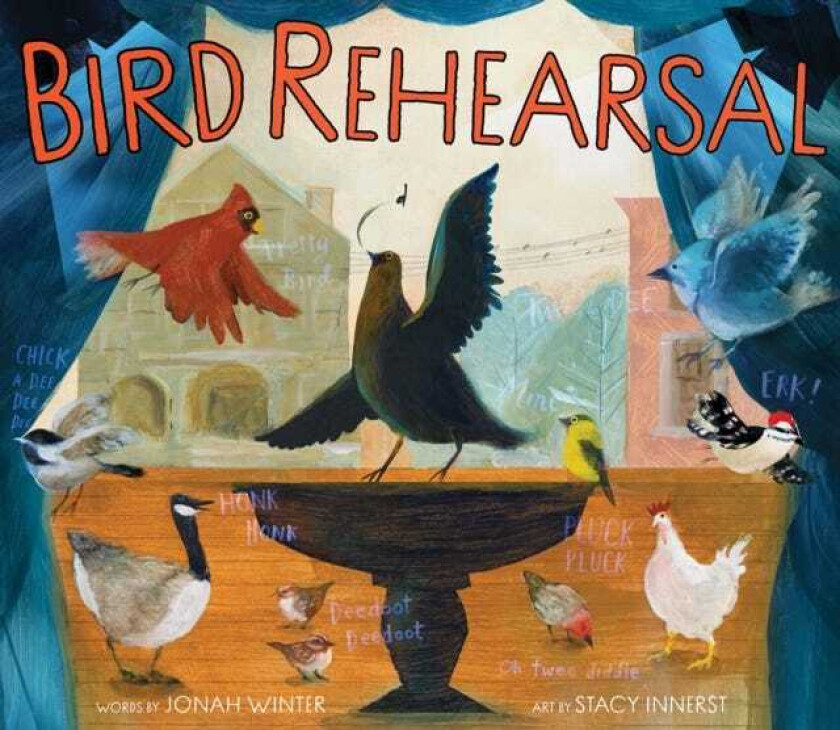 Bird Rehearsal  A Picture Book