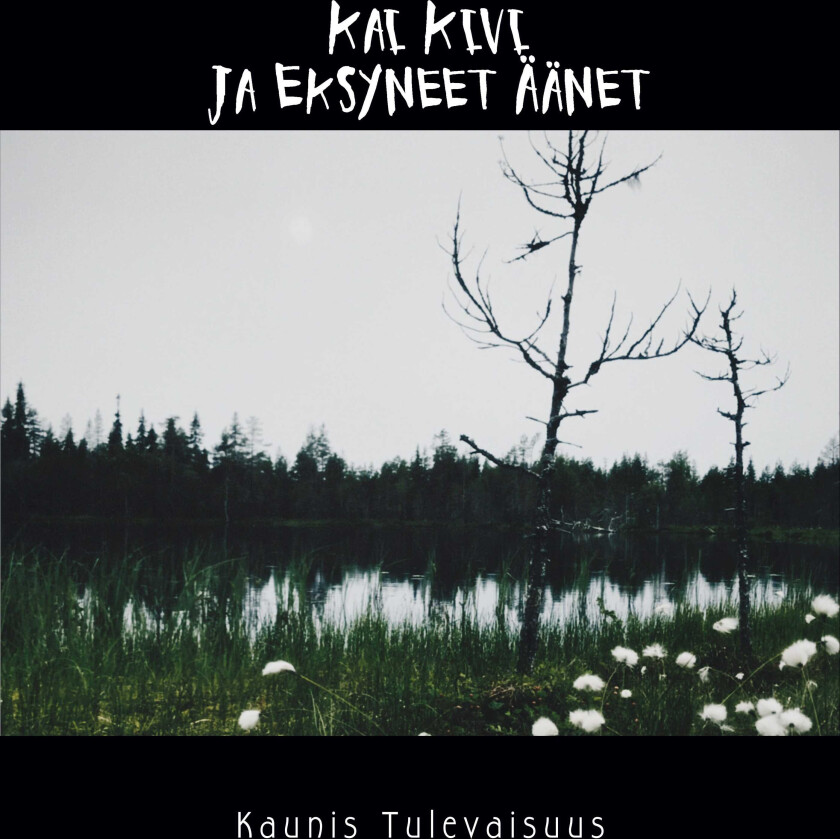 Kai Kivi ja Eksyneet Äänet Kaunis Tulevaisuus LP/Vinyl