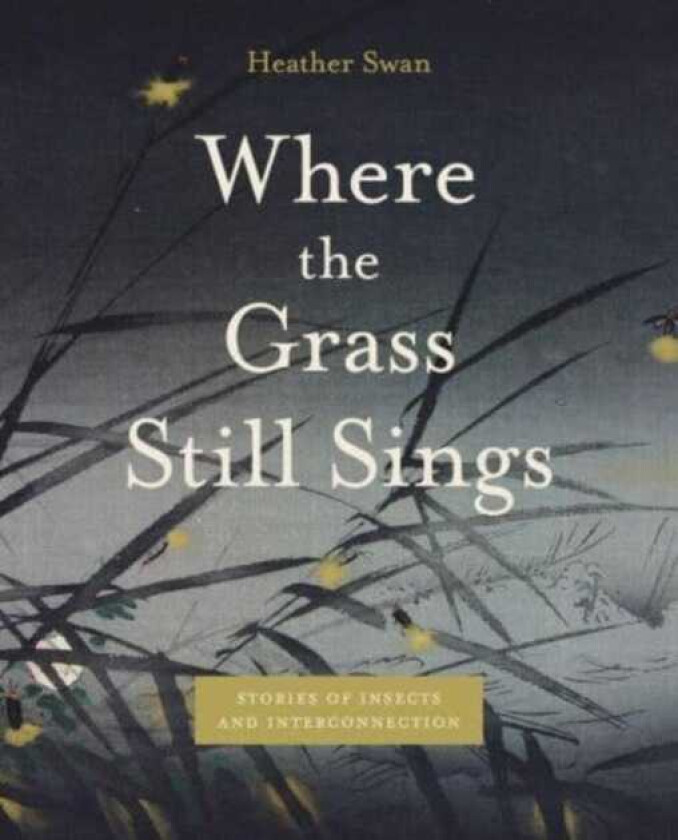 Where the Grass Still Sings Stories of Insects and Interconnection